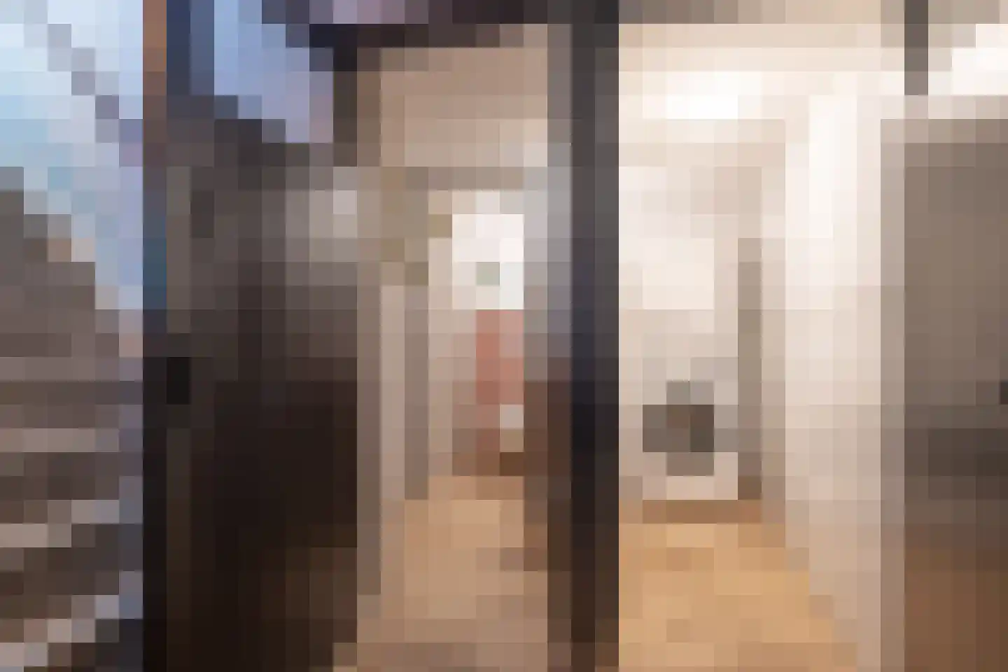 Vijverstraat 22 De Wilp thumbnail 39