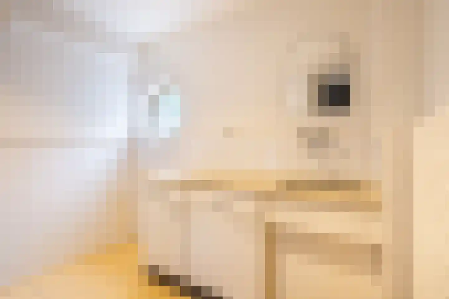 Vijverstraat 22 De Wilp thumbnail 43