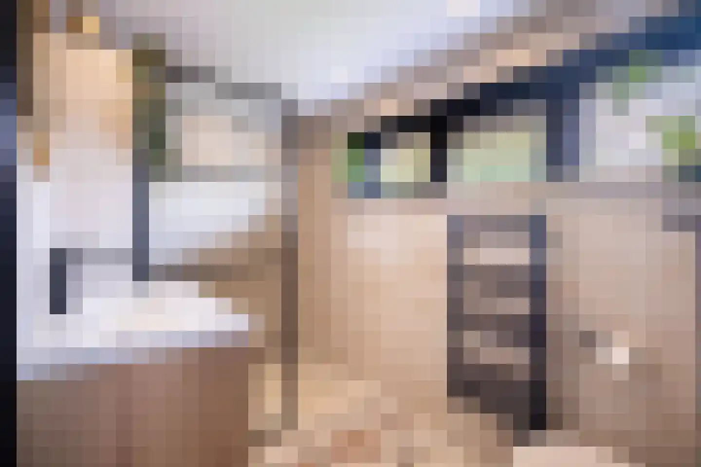 Vijverstraat 22 De Wilp thumbnail 47