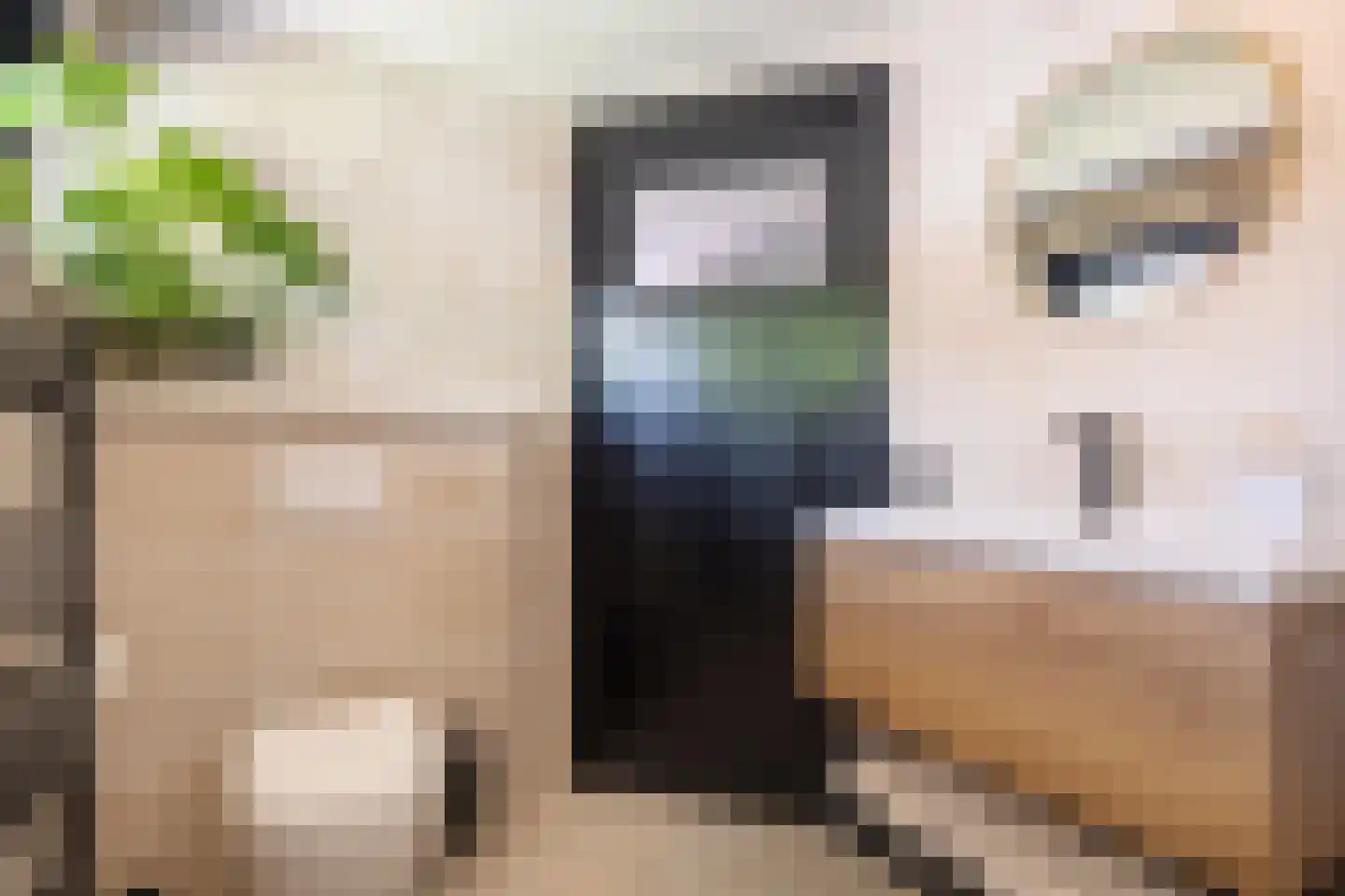 Vijverstraat 22 De Wilp thumbnail 50