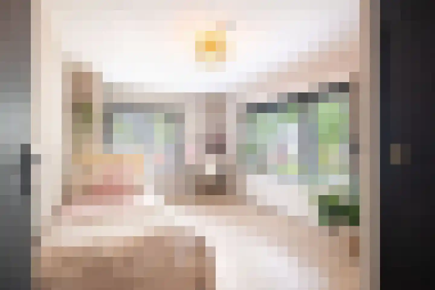 Vijverstraat 22 De Wilp thumbnail 51