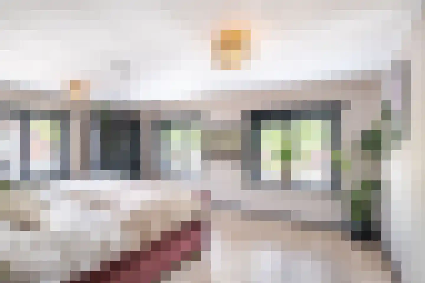 Vijverstraat 22 De Wilp thumbnail 53