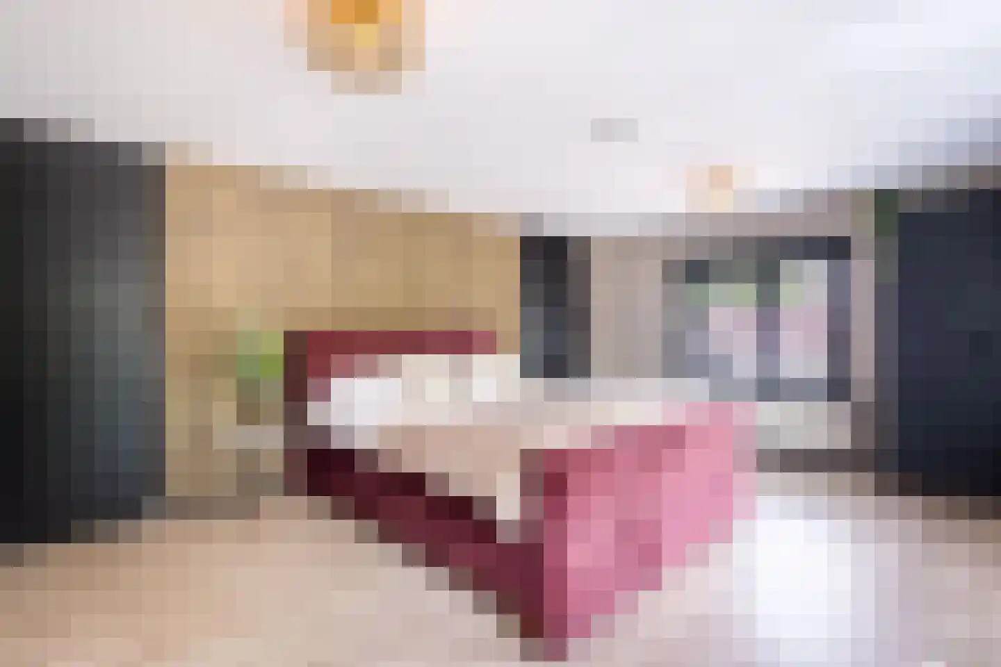 Vijverstraat 22 De Wilp thumbnail 54