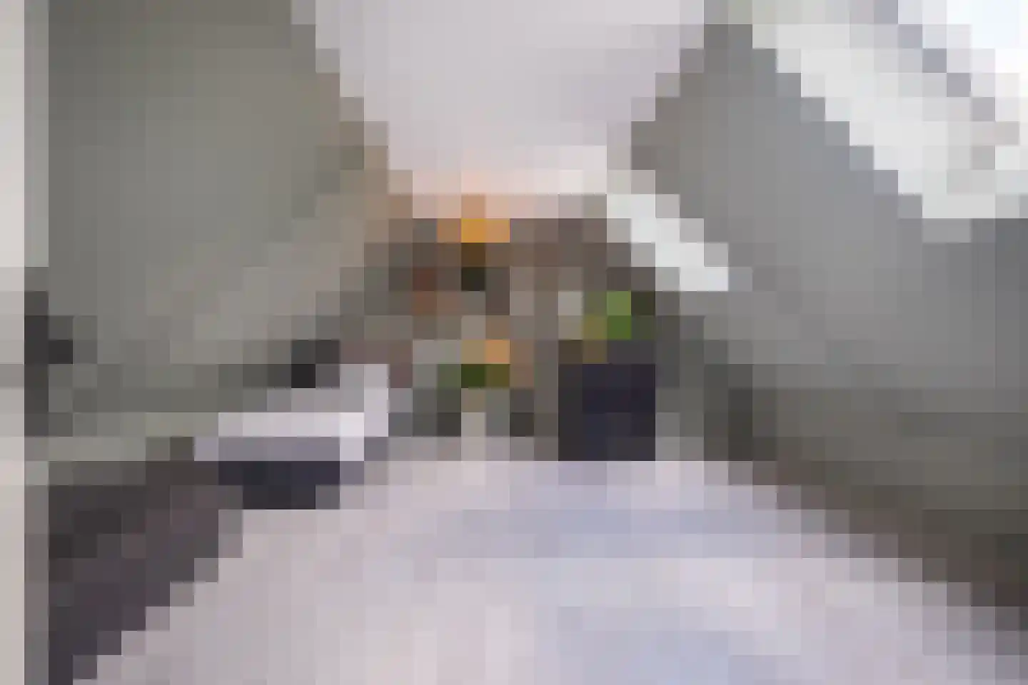 Vijverstraat 22 De Wilp thumbnail 56