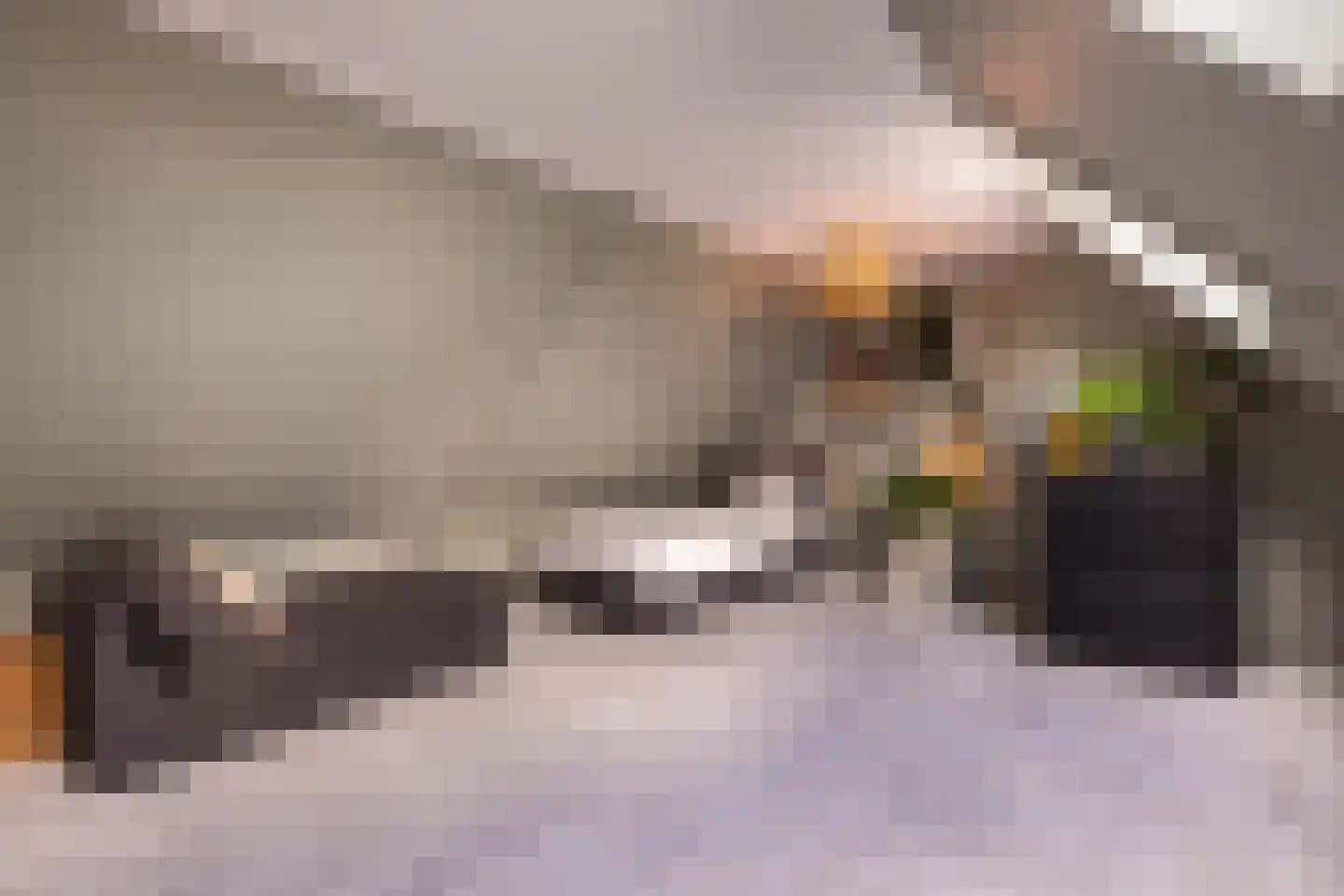 Vijverstraat 22 De Wilp thumbnail 57