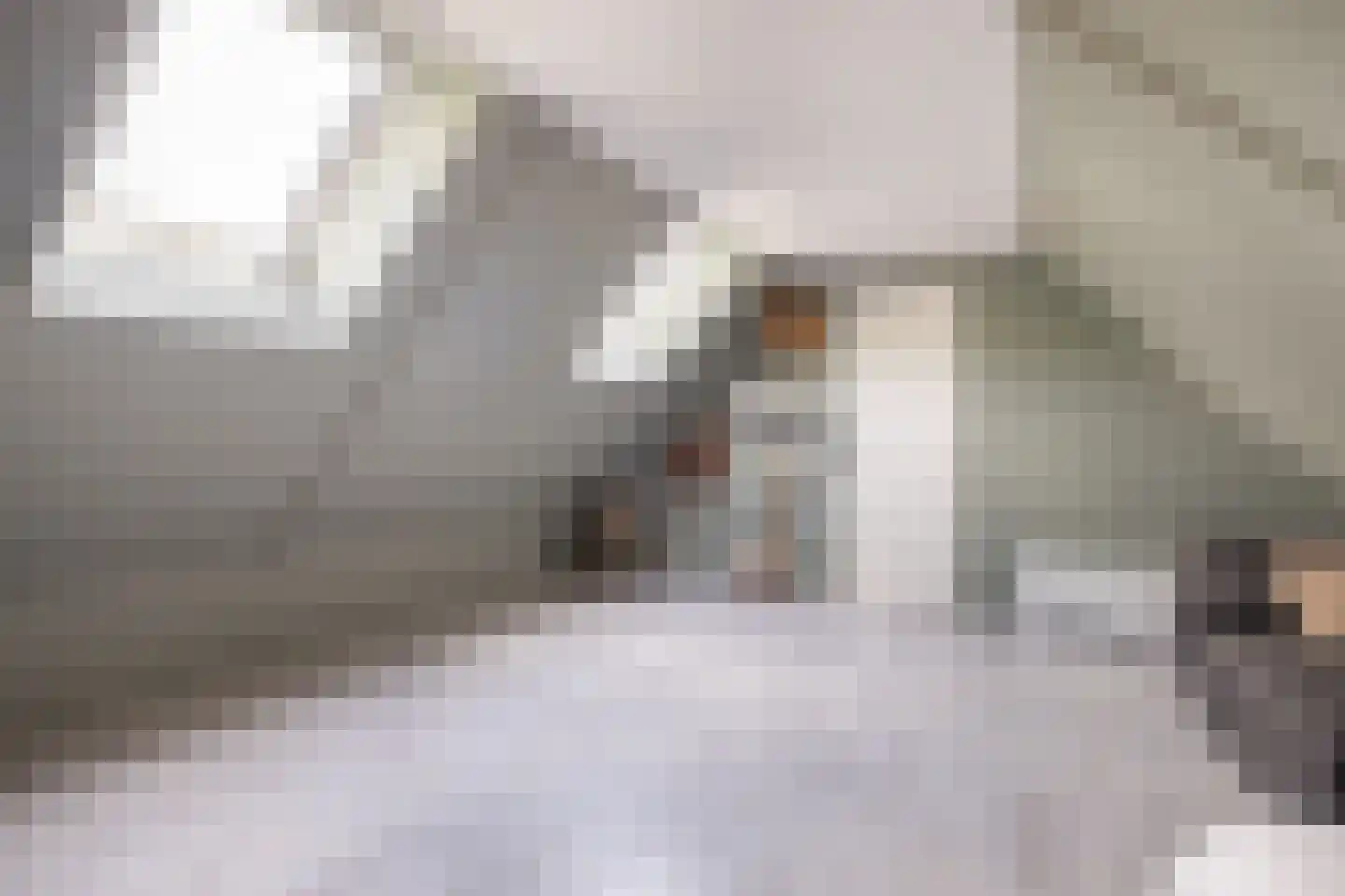 Vijverstraat 22 De Wilp thumbnail 58