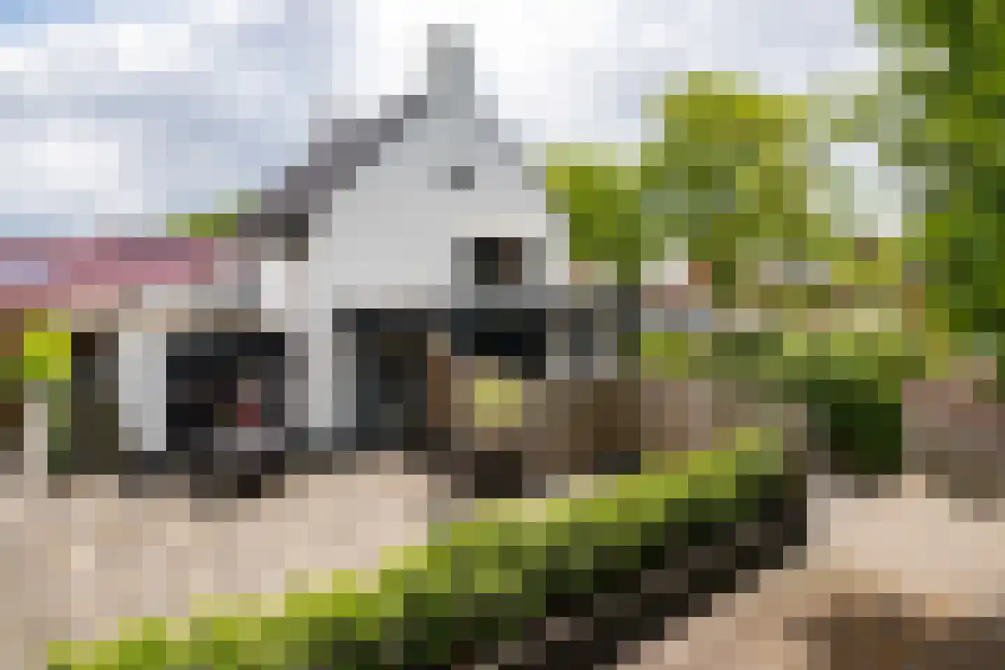 Vijverstraat 22 De Wilp thumbnail 63