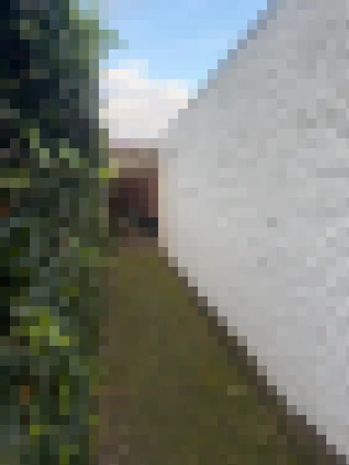 Vijverstraat 22 De Wilp thumbnail 65
