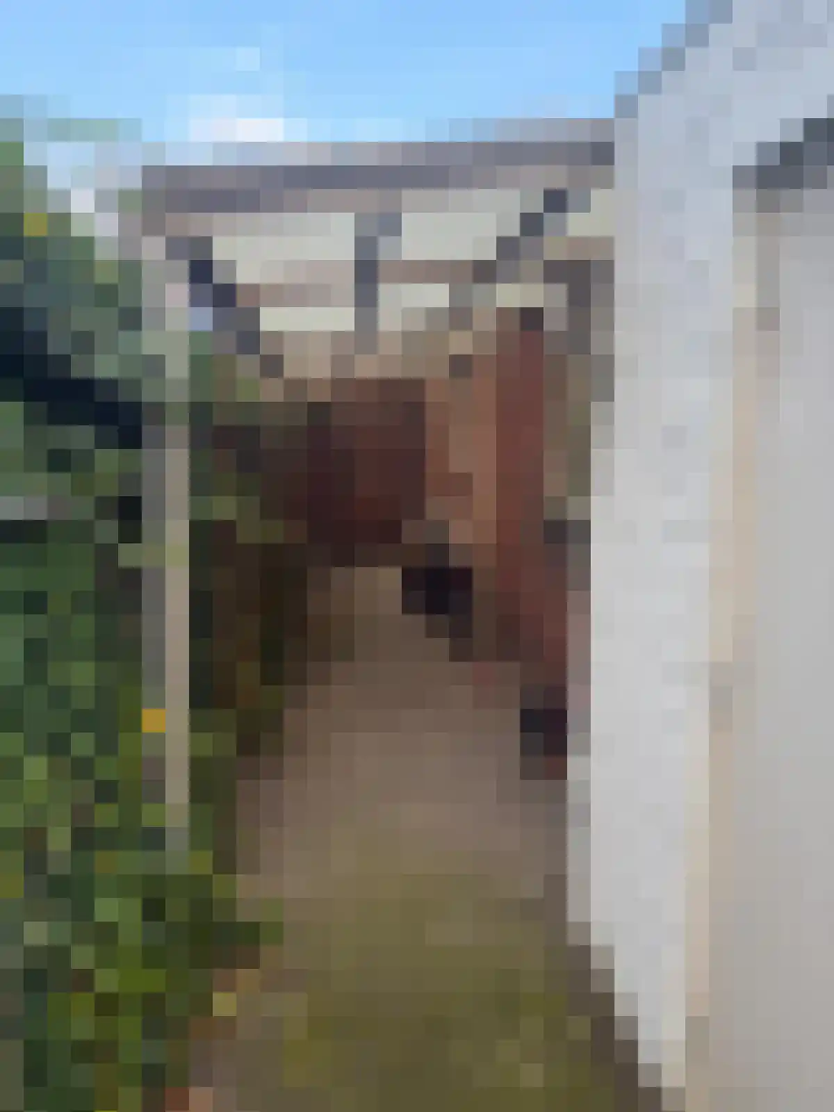 Vijverstraat 22 De Wilp thumbnail 66