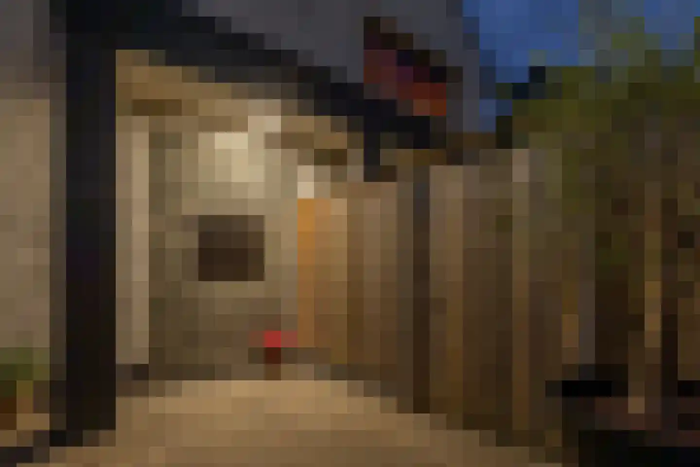 Vijverstraat 22 De Wilp thumbnail 68