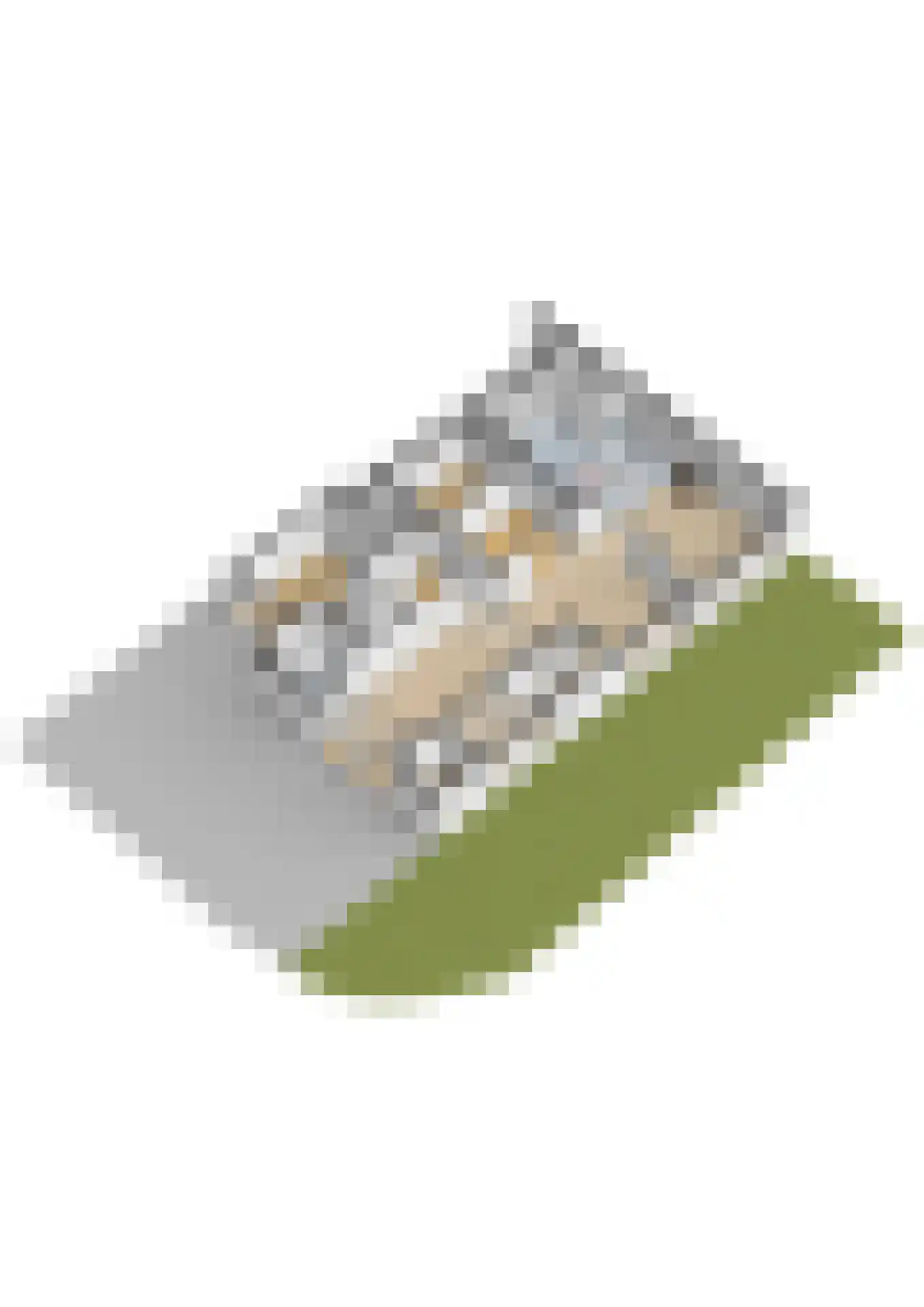Vijverstraat 22 De Wilp thumbnail 78