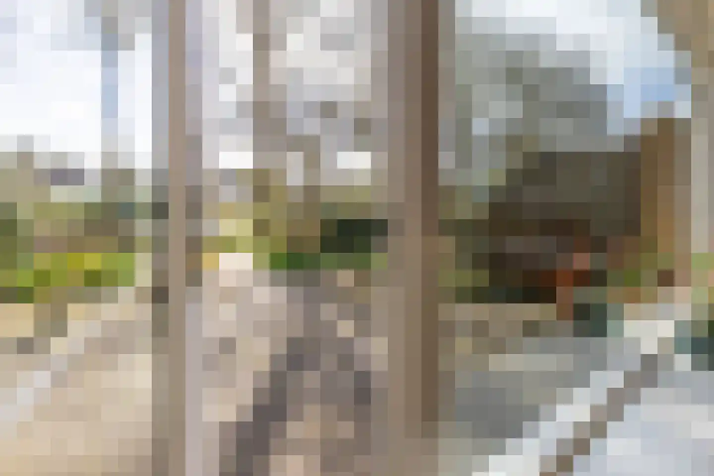 Vijverstraat 26 Hattem thumbnail 15