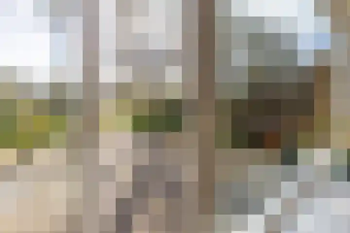 Vijverstraat 26 Hattem thumbnail 15