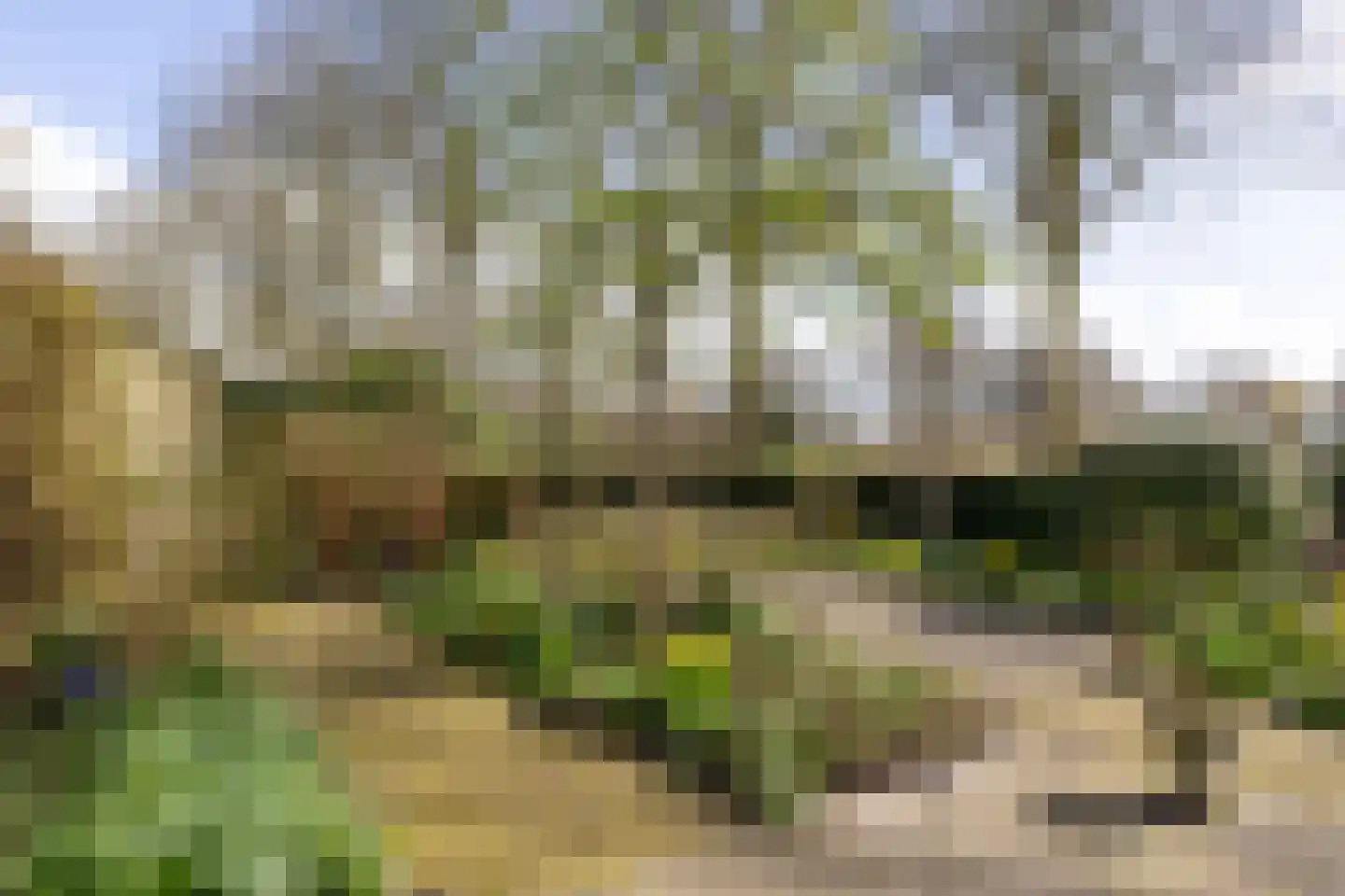 Vijverstraat 26 Hattem thumbnail 16