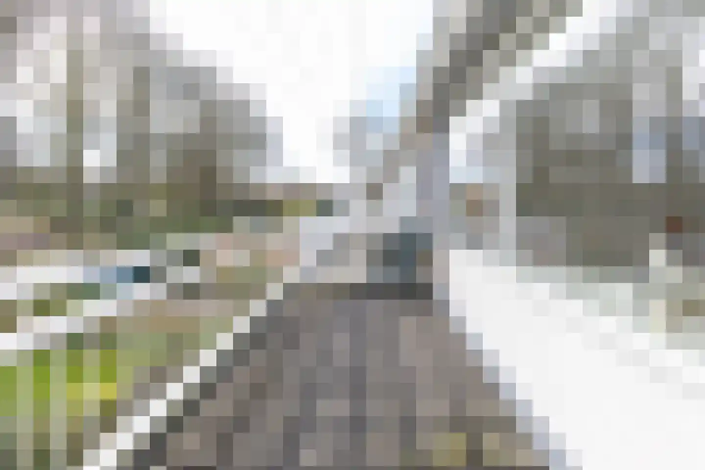 Vijverstraat 26 Hattem thumbnail 27