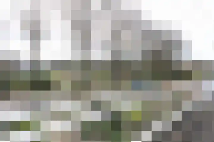 Vijverstraat 26 Hattem thumbnail 28