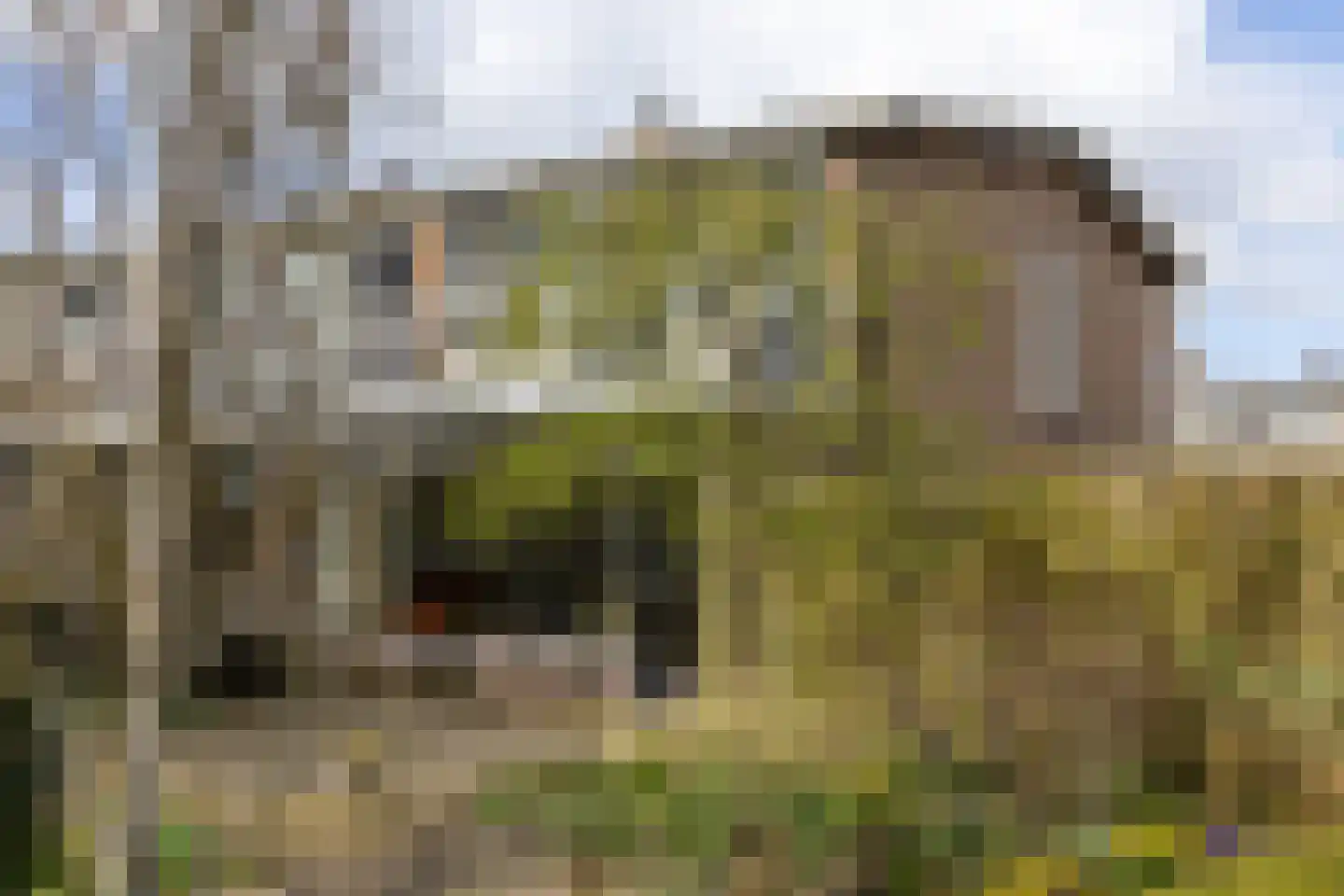 Vijverstraat 26 Hattem thumbnail 35