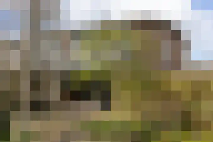 Vijverstraat 26 Hattem thumbnail 35