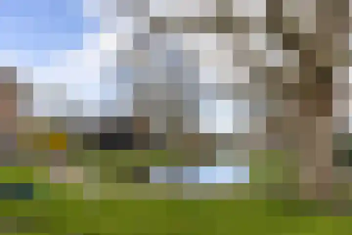 Vijverstraat 26 Hattem thumbnail 37