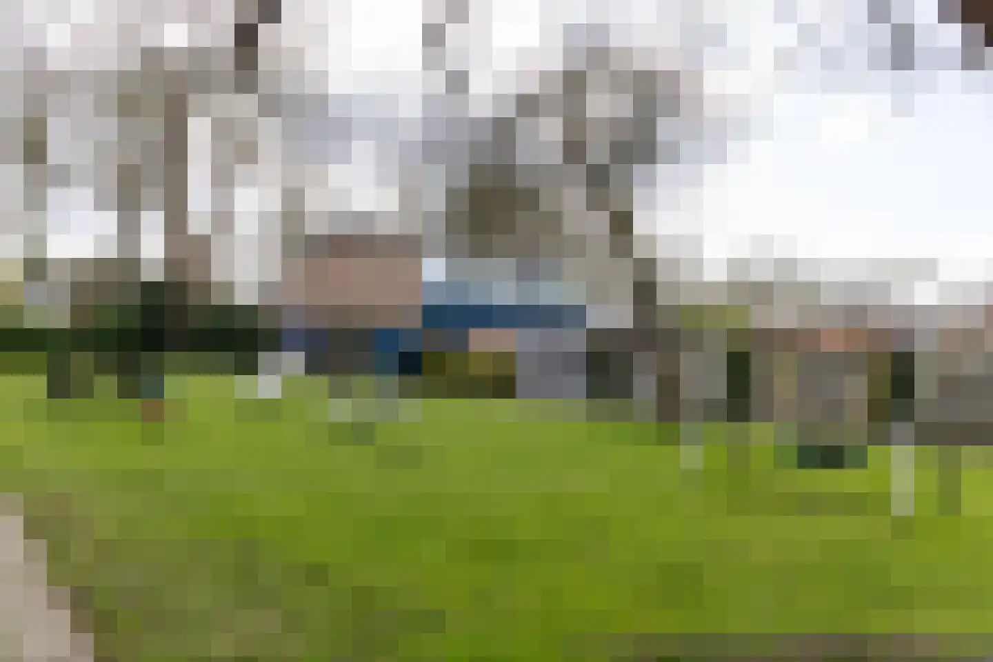 Vijverstraat 26 Hattem thumbnail 38