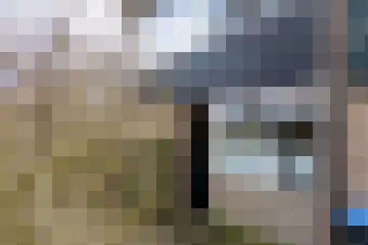 Vijverstraat 26 Hattem thumbnail 4
