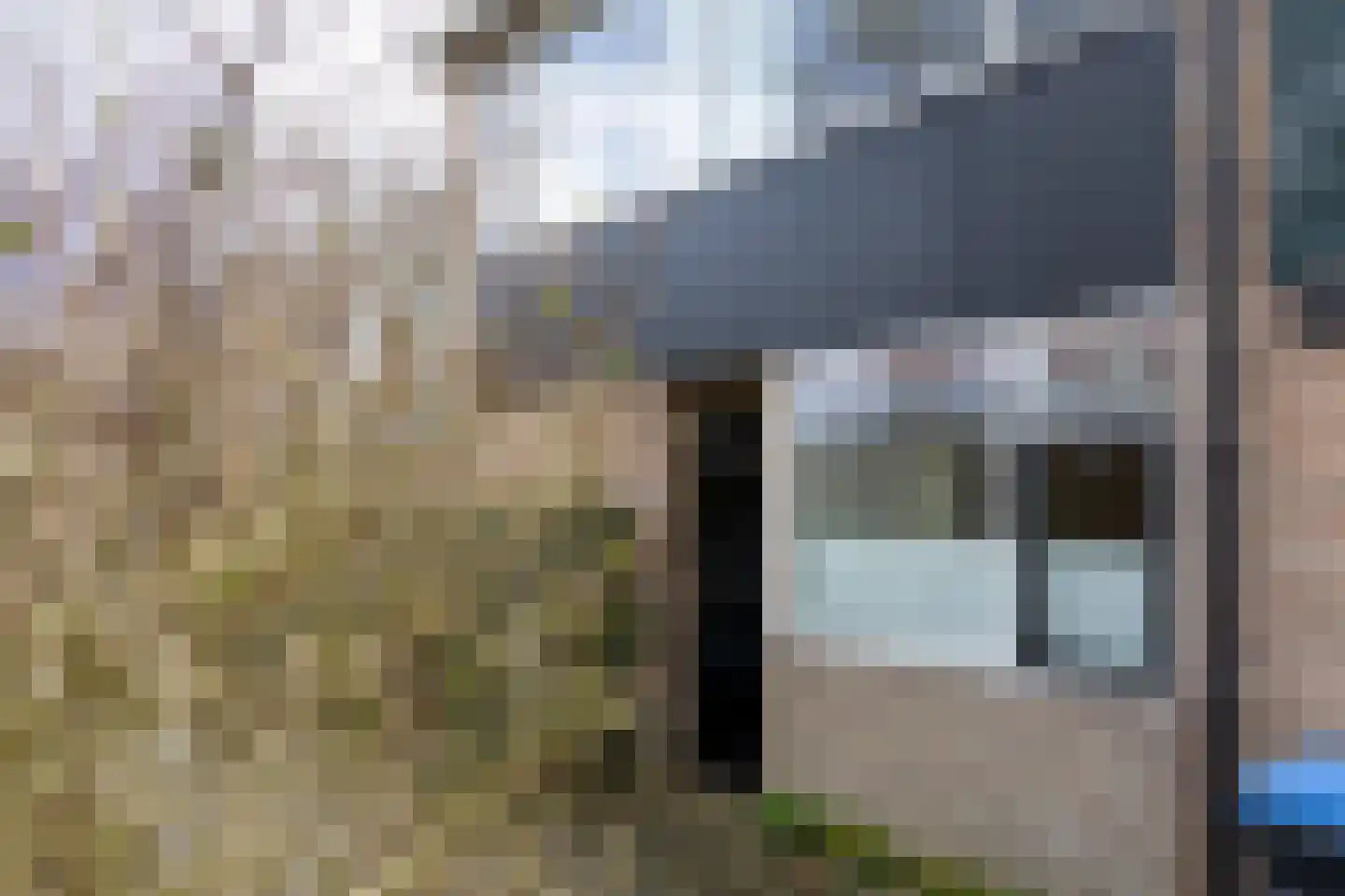 Vijverstraat 26 Hattem thumbnail 4