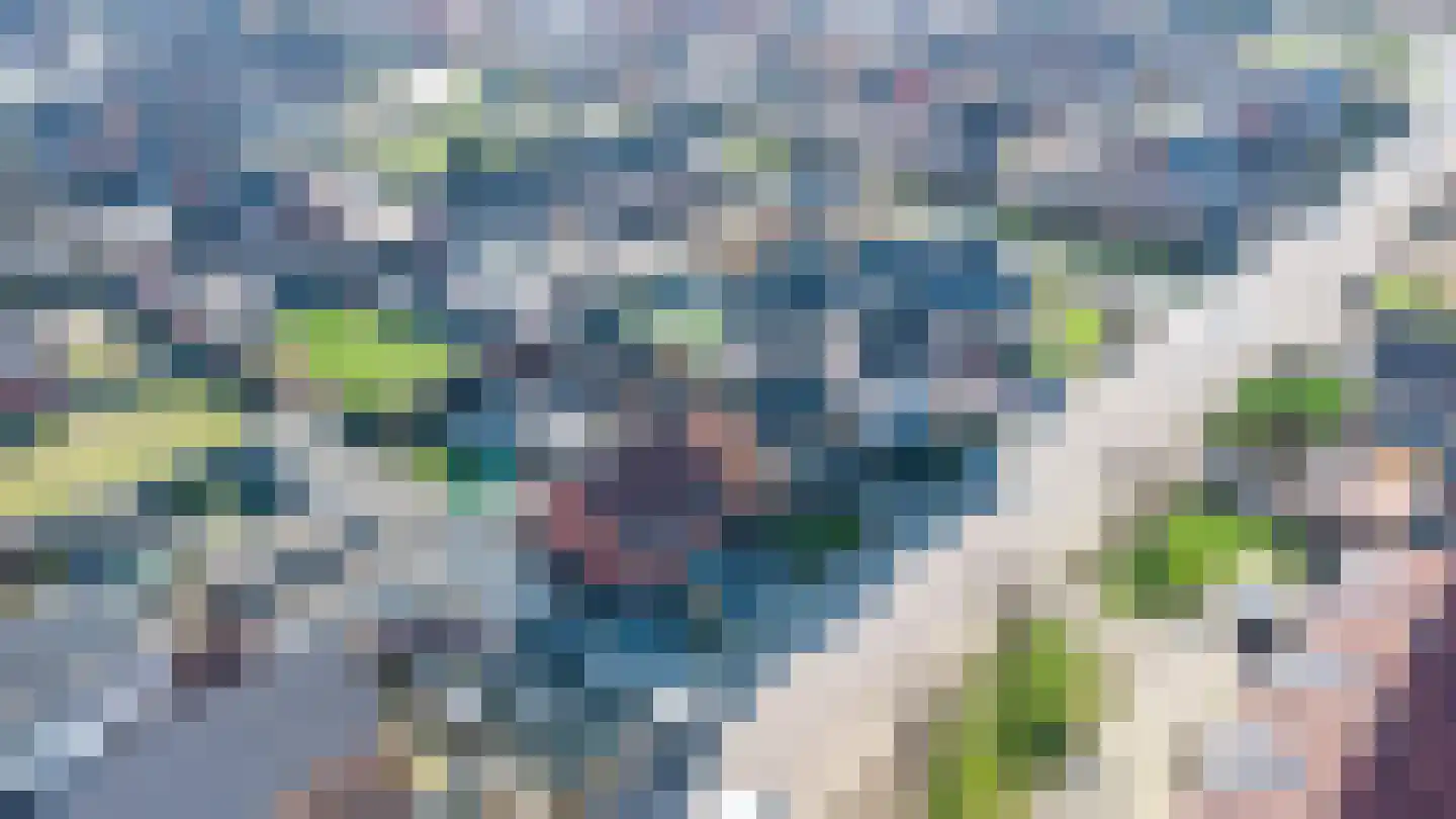 Vijverstraat 27 St. Willebrord thumbnail 38