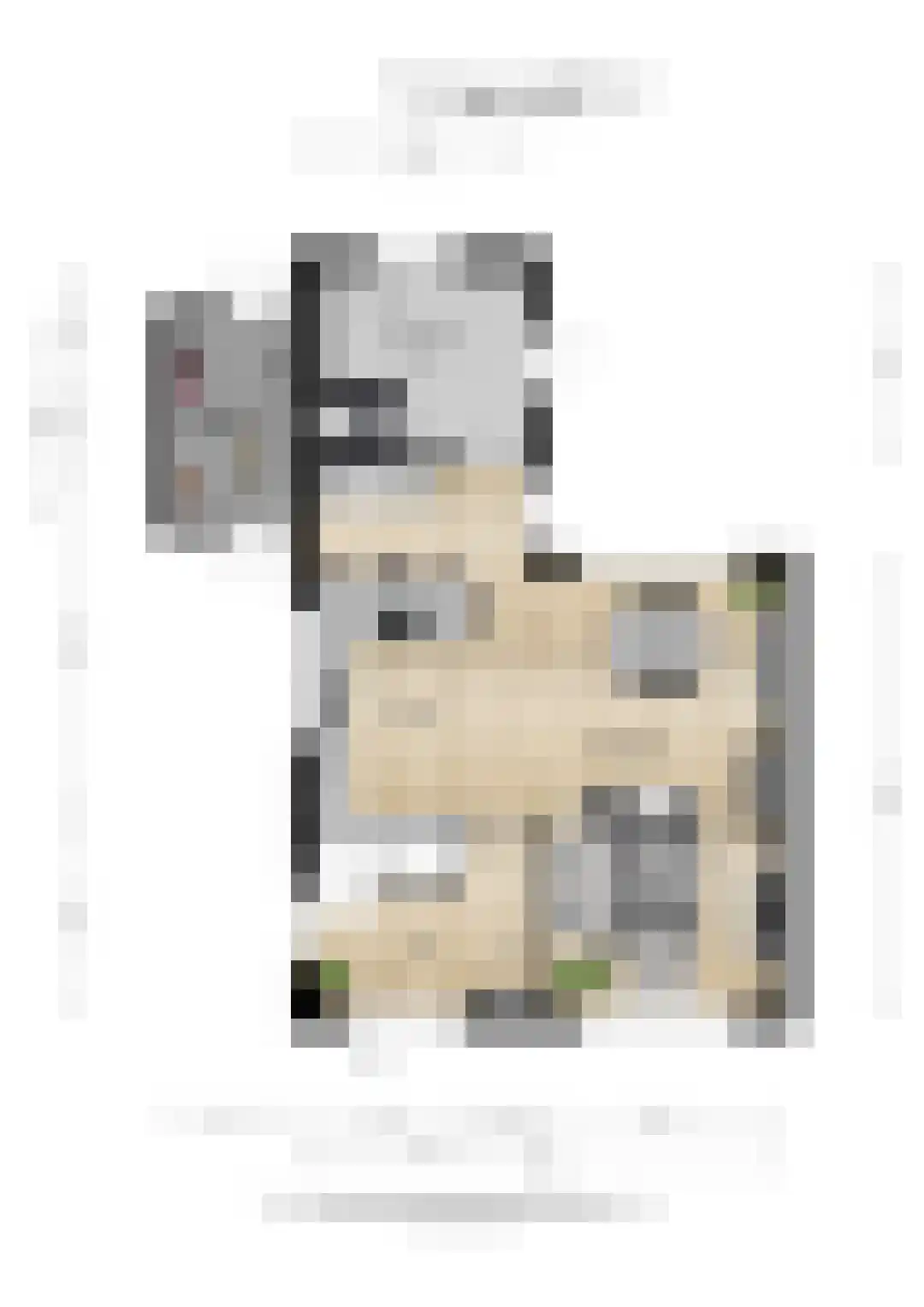 Vijverstraat 27 St. Willebrord thumbnail 43