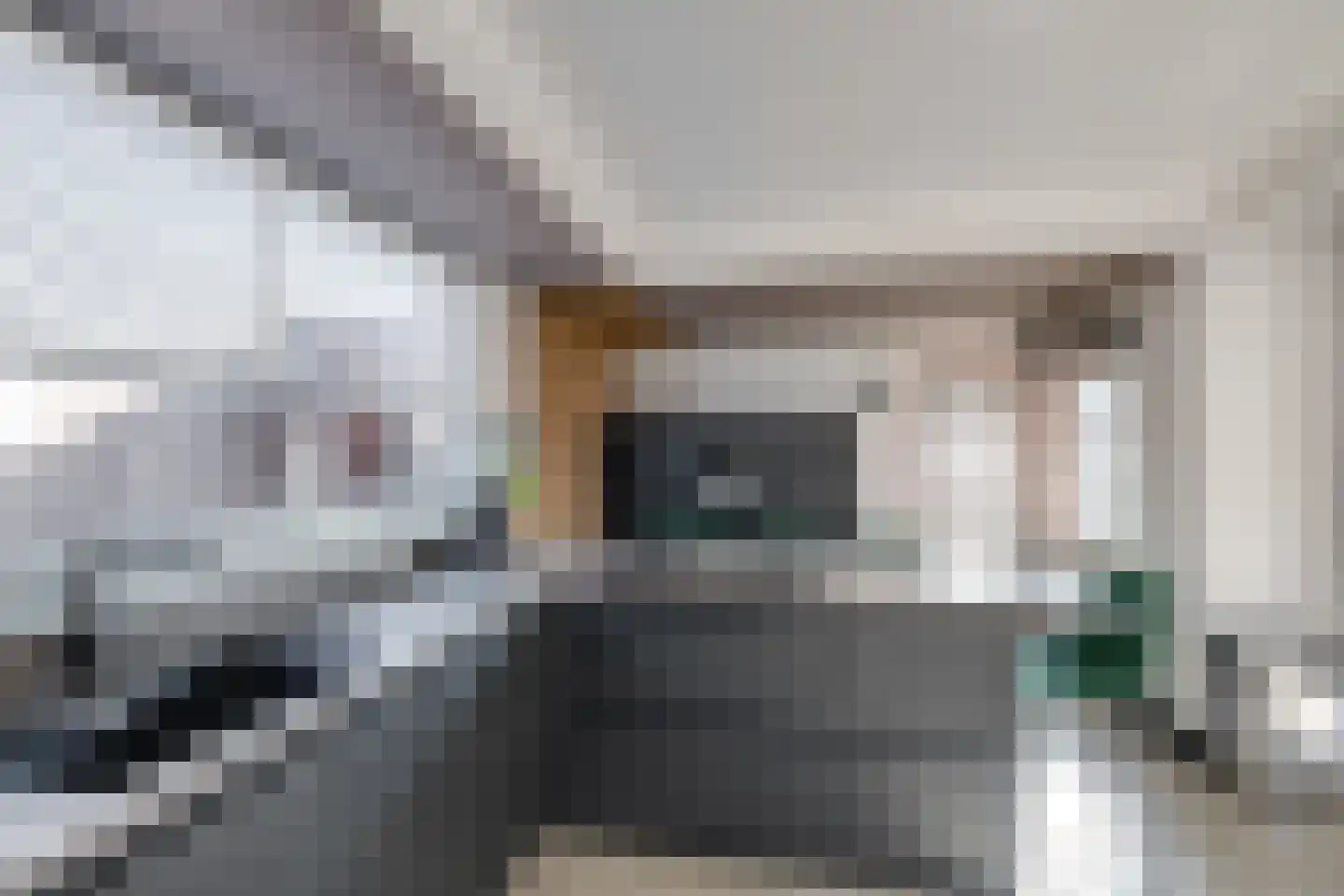 Vijverstraat 27 St. Willebrord thumbnail 8