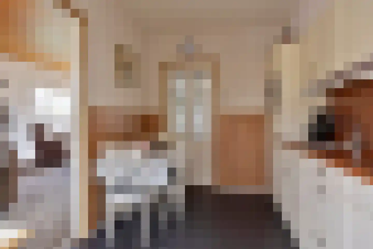 Vijverstraat 31 Ootmarsum thumbnail 11