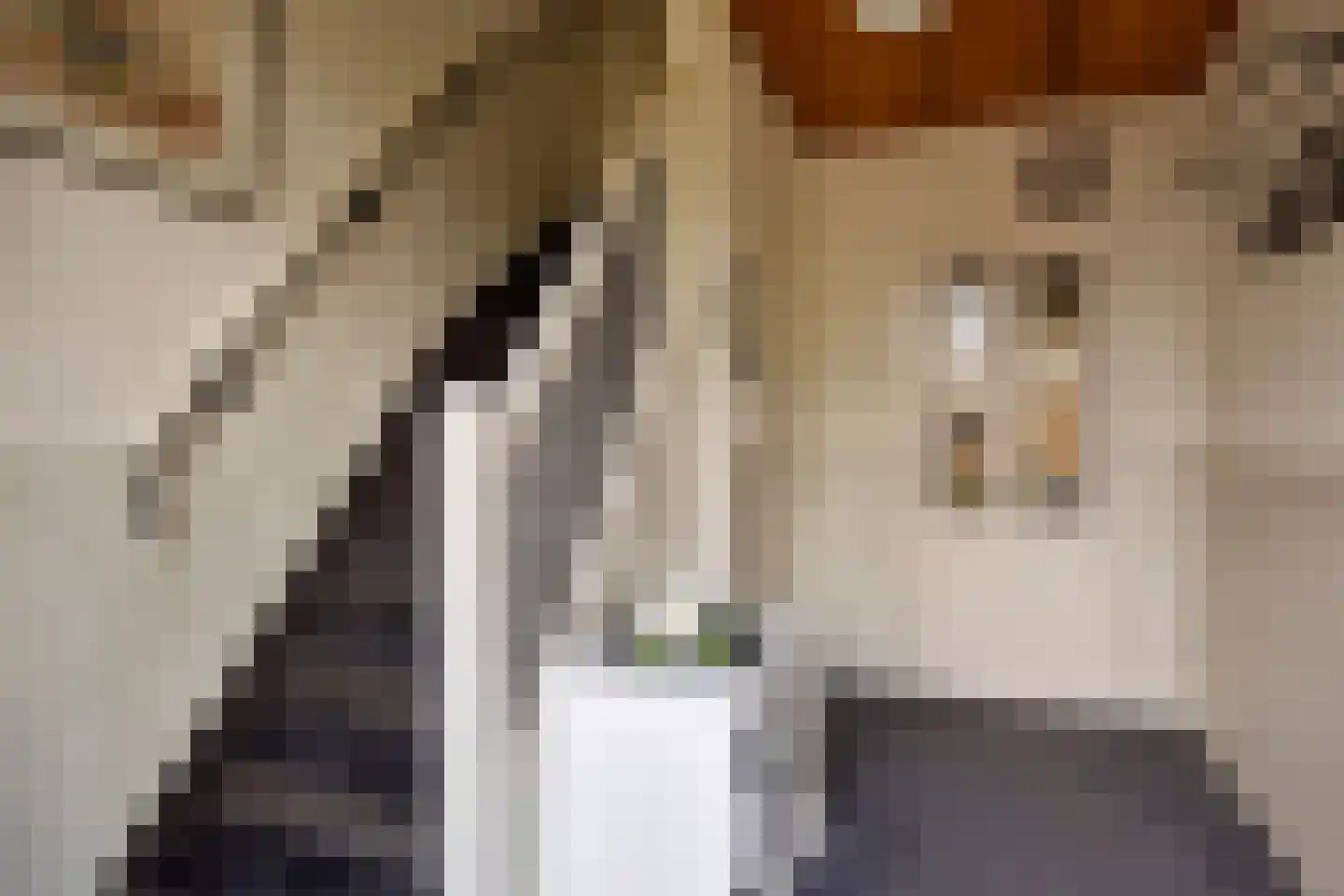 Vijverstraat 31 Ootmarsum thumbnail 14
