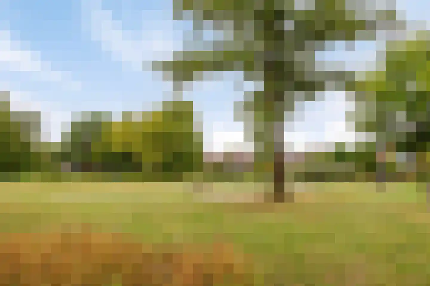 Vijverstraat 31 Ootmarsum thumbnail 31