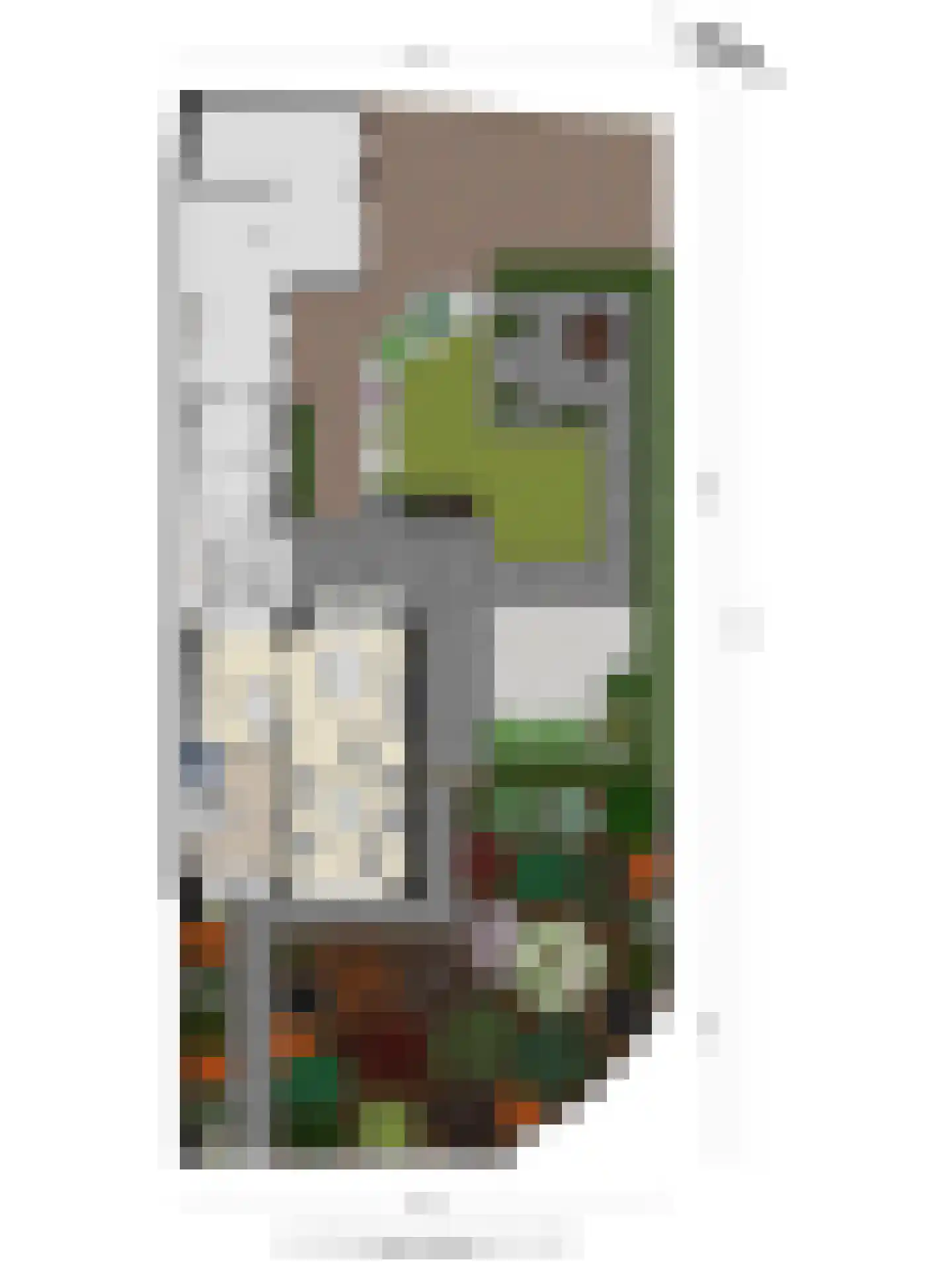 Vijverstraat 31 Ootmarsum thumbnail 33