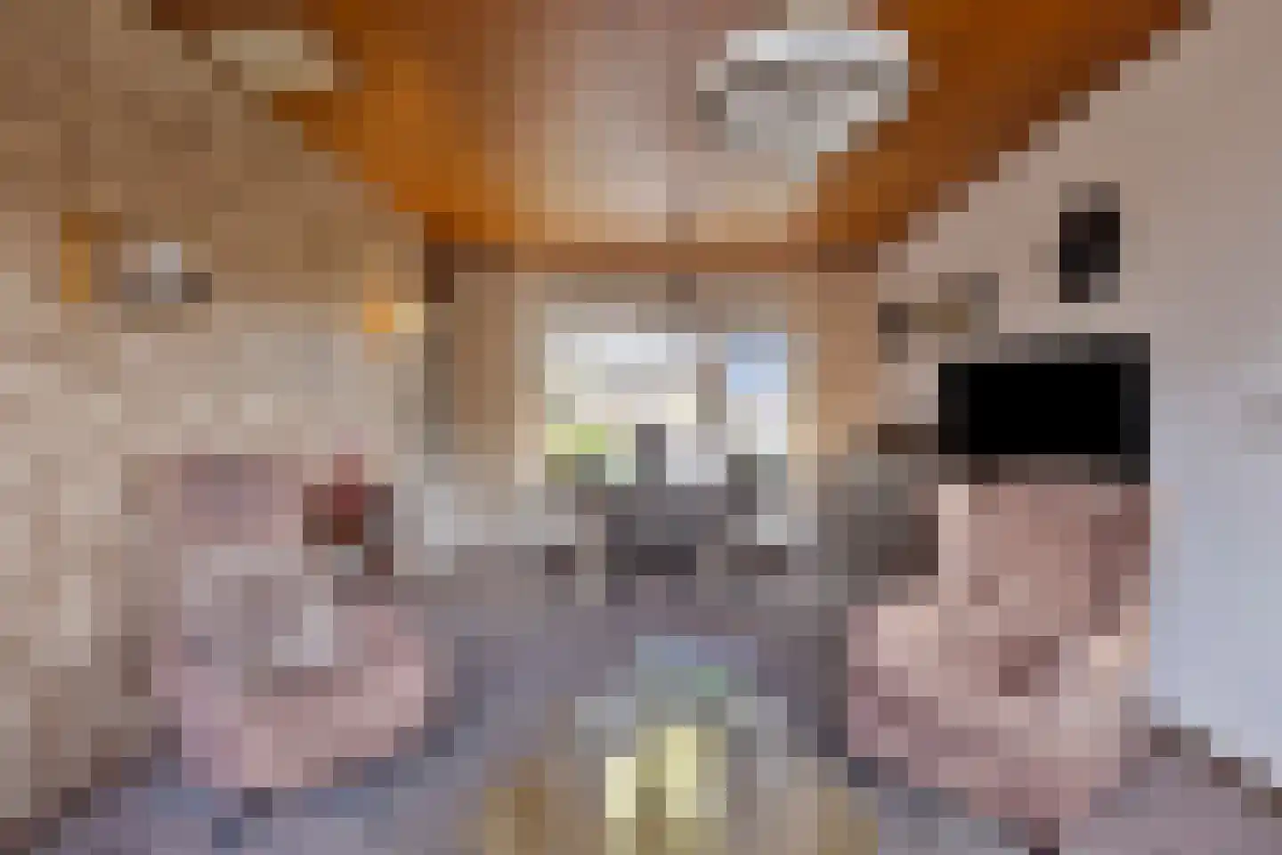 Vijverstraat 31 Ootmarsum thumbnail 6