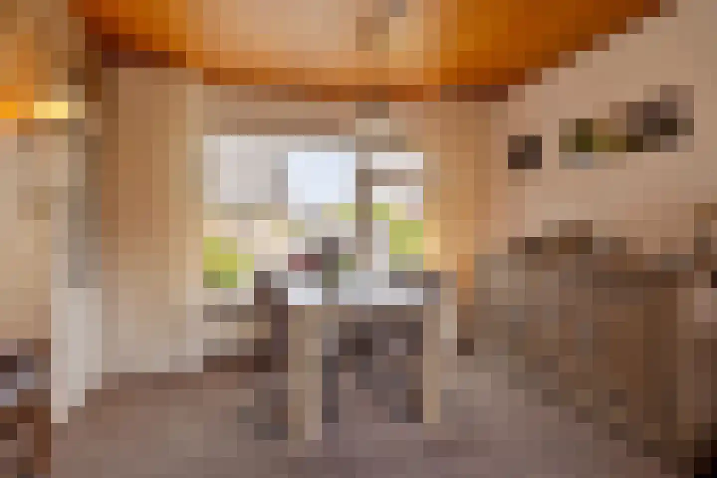 Vijverstraat 31 Ootmarsum thumbnail 7