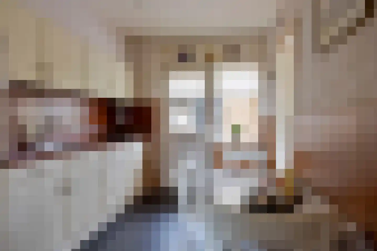 Vijverstraat 31 Ootmarsum thumbnail 9