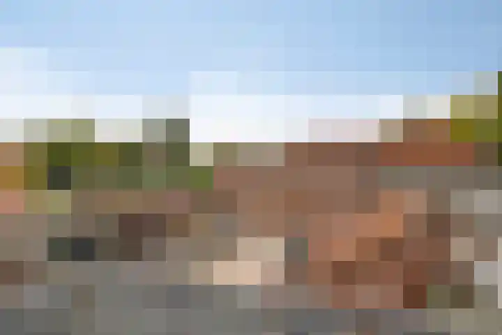 Vijverstraat 4 Halsteren thumbnail 18