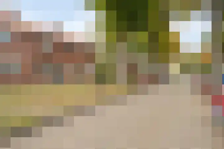 Vijverstraat 4 Halsteren thumbnail 24