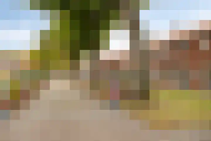 Vijverstraat 4 Halsteren thumbnail 25
