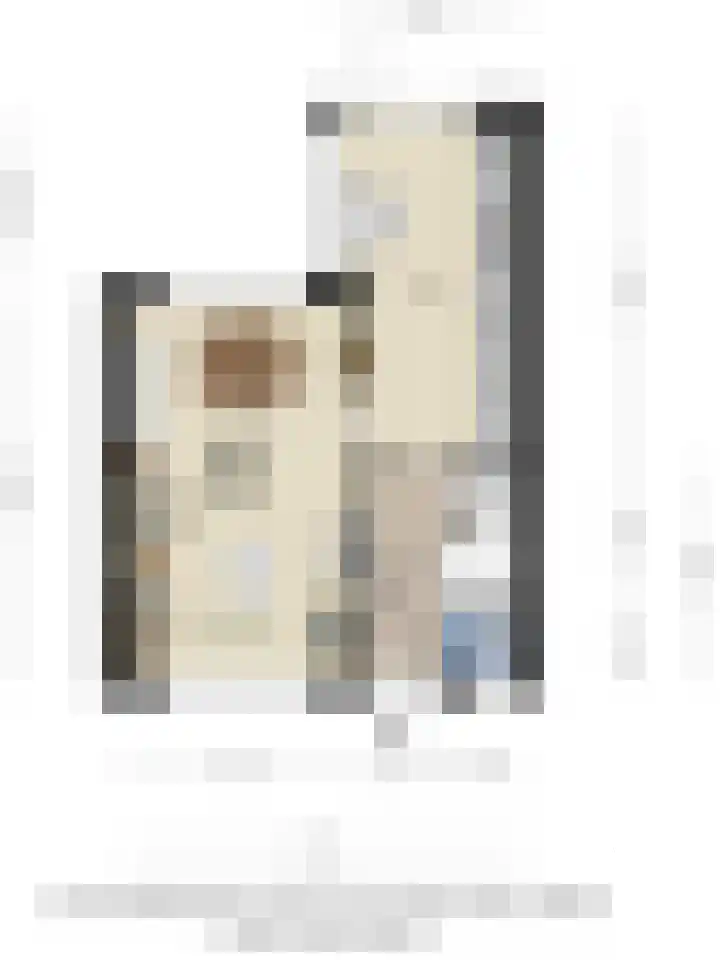 Vijverstraat 4 Halsteren thumbnail 26