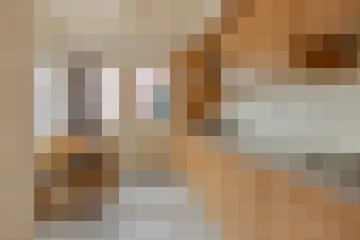 Vijverstraat 4 Halsteren thumbnail 5
