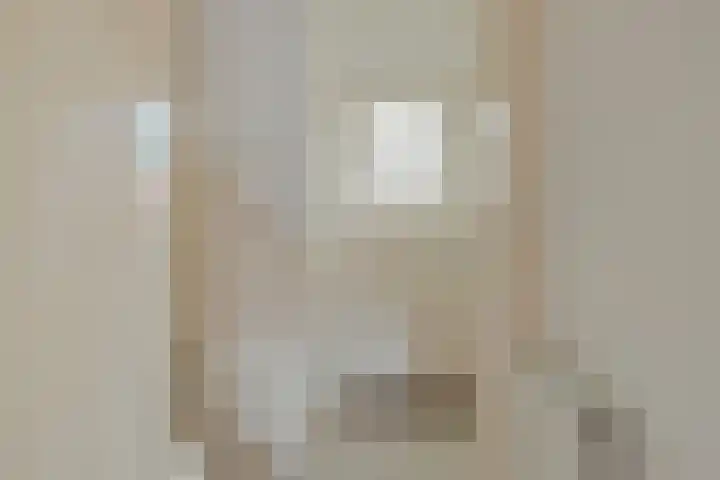 Vijverstraat 4 Halsteren thumbnail 8