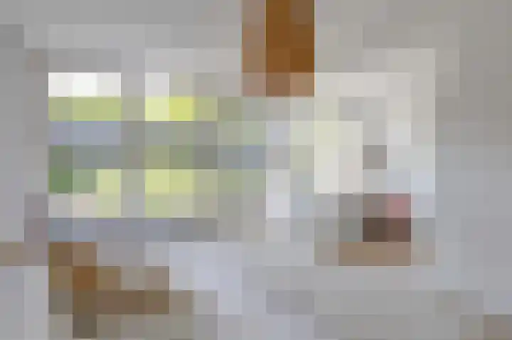 Vijverstraat 4 Hattem thumbnail 16