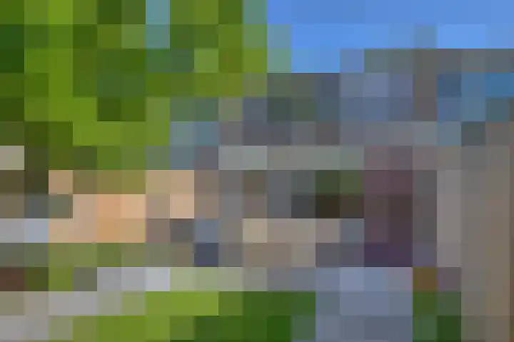 Vijverstraat 4 Hattem thumbnail 27