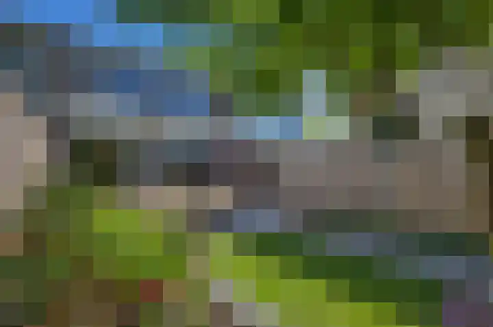 Vijverstraat 4 Hattem thumbnail 29