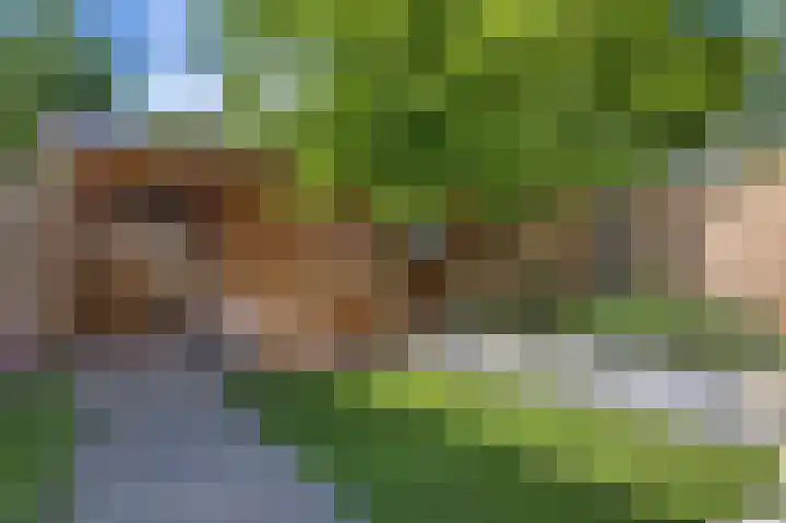 Vijverstraat 4 Hattem thumbnail 30