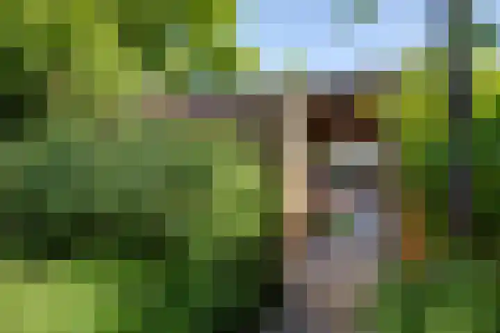 Vijverstraat 4 Hattem thumbnail 32
