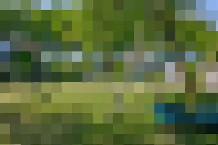 Vijverstraat 4 Hattem thumbnail 33