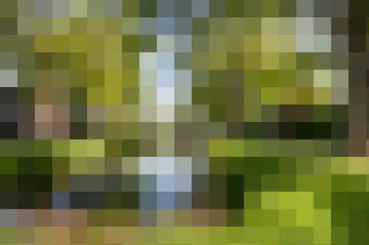 Vijverstraat 4 Hattem thumbnail 34