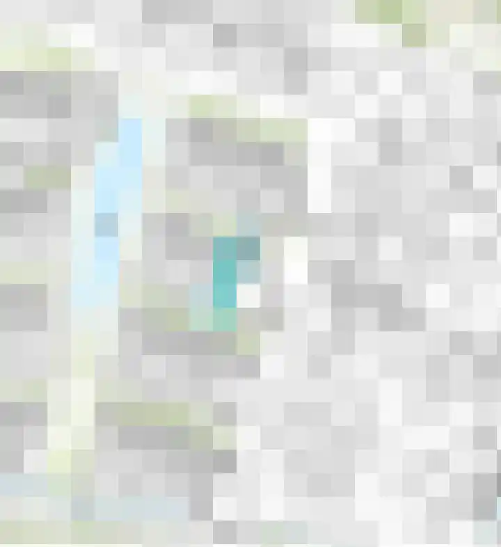 Vijverstraat 4 Hattem thumbnail 38